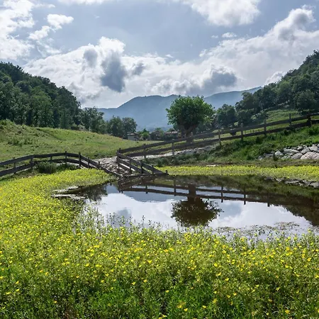 Апартаменты The River Nest