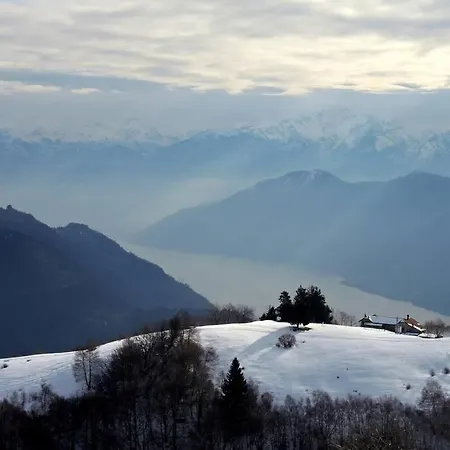 The River Nest * Lasnigo